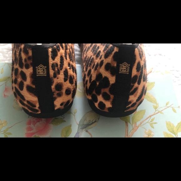 Birdies Cheetah The Starling - Picture 4 of 6